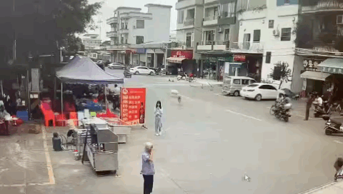 未成年人不得独自遛狗！佛山一老人被狗绳拽倒重摔后身亡