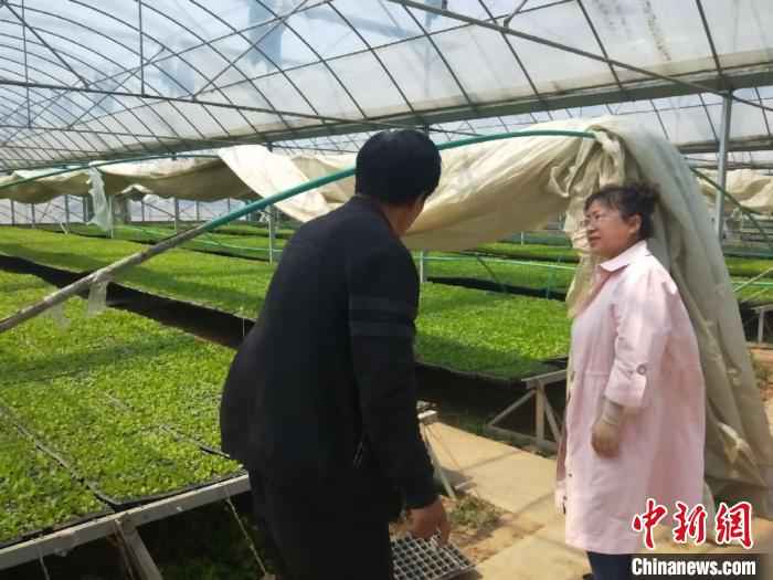  山西上党建云端“农业诊所” 线上问诊护航春耕生产